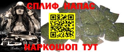 стаф Кингисепп