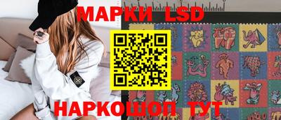 стаф Кингисепп